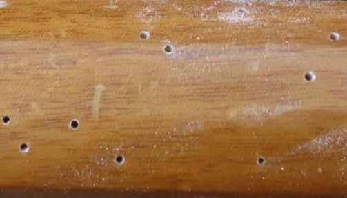 實木家具潮濕天氣有腐化蟲蛀變形開裂危險